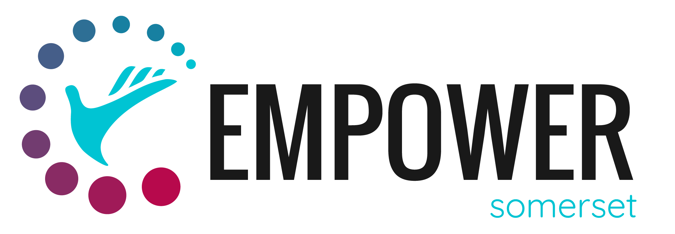 Empower Somerset